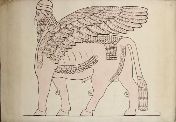 Unknown, Drawing