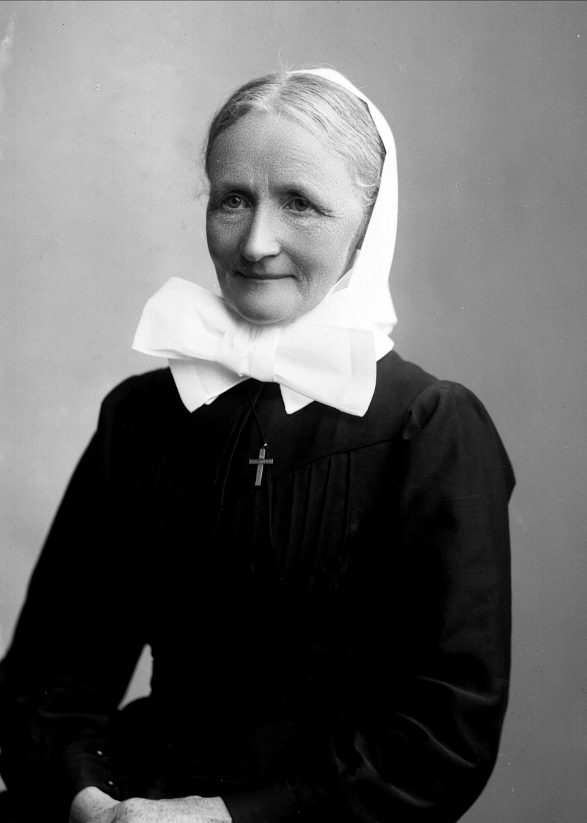 Gustav Borgen, NFB.10529