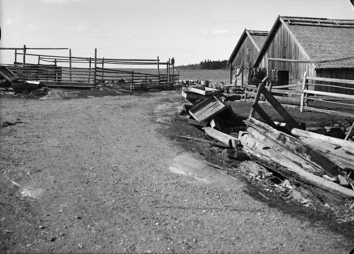 Paul Sandberg, Probably Harudden’s fishing position, Älvkarleby