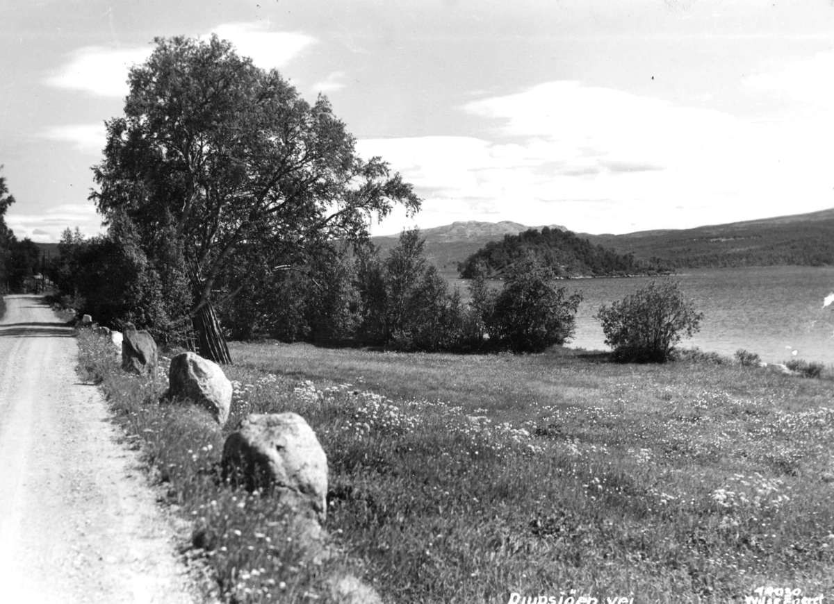 Anders Beer Wilse, Topografi