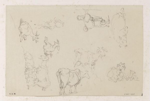 George Chinnery, Chinese figures and animals