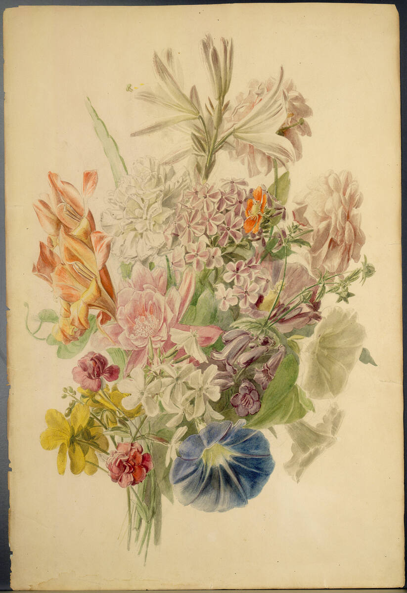 Anonym, Blumenstudie