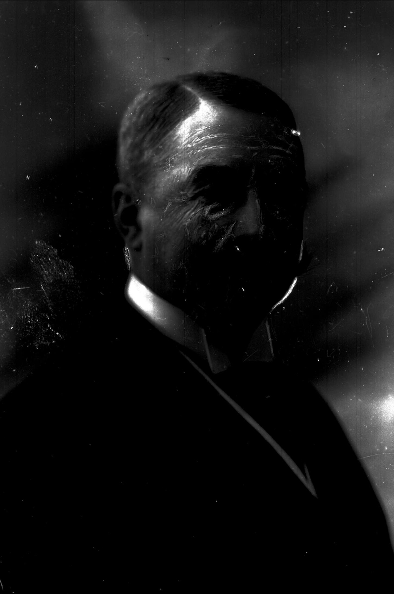 Gustav Borgen, Portrett, Ivar Aavatsmark.