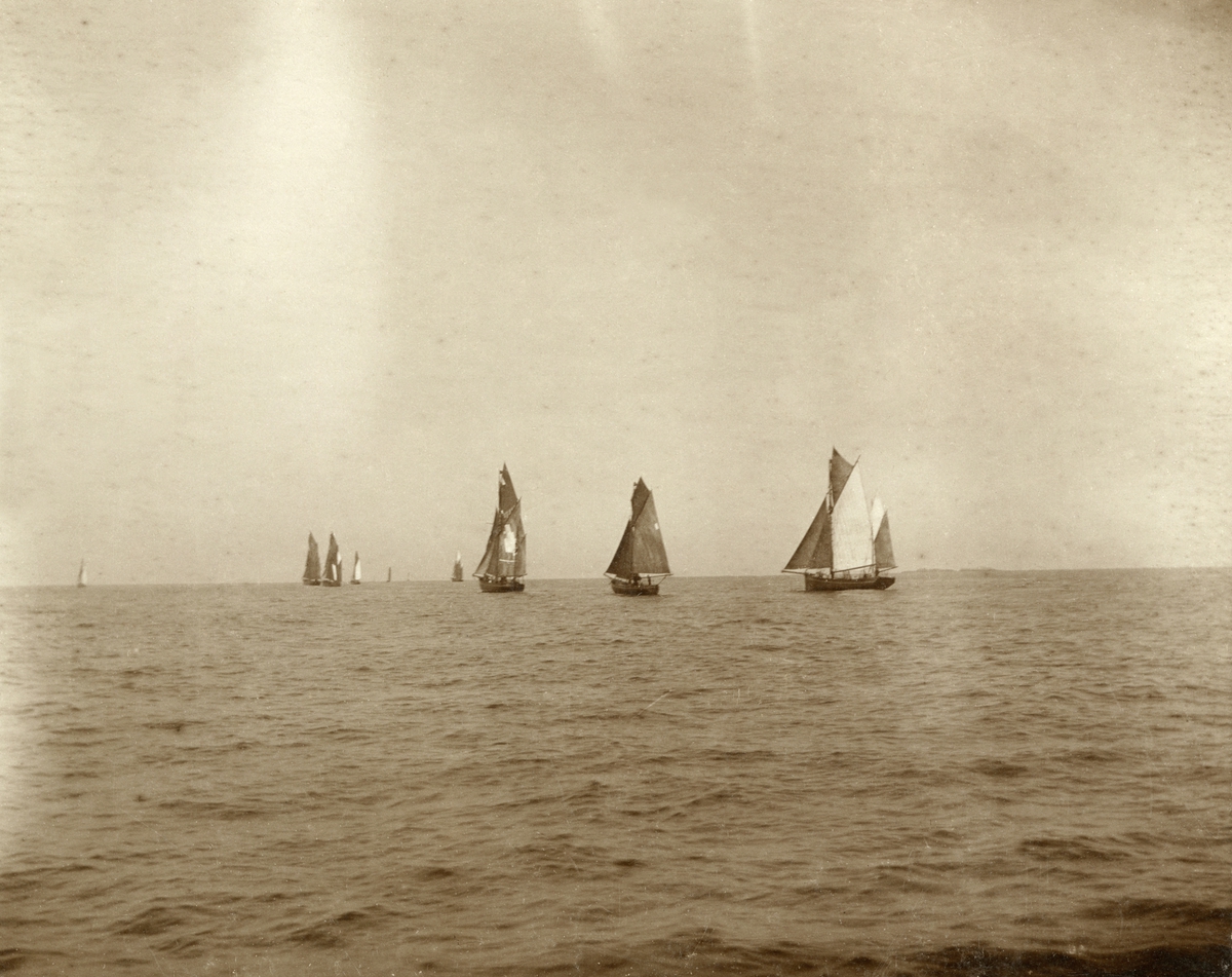 Unknown artist, No. 38. Drivgarnsflaaden under udseiling fra Aalesund 1899