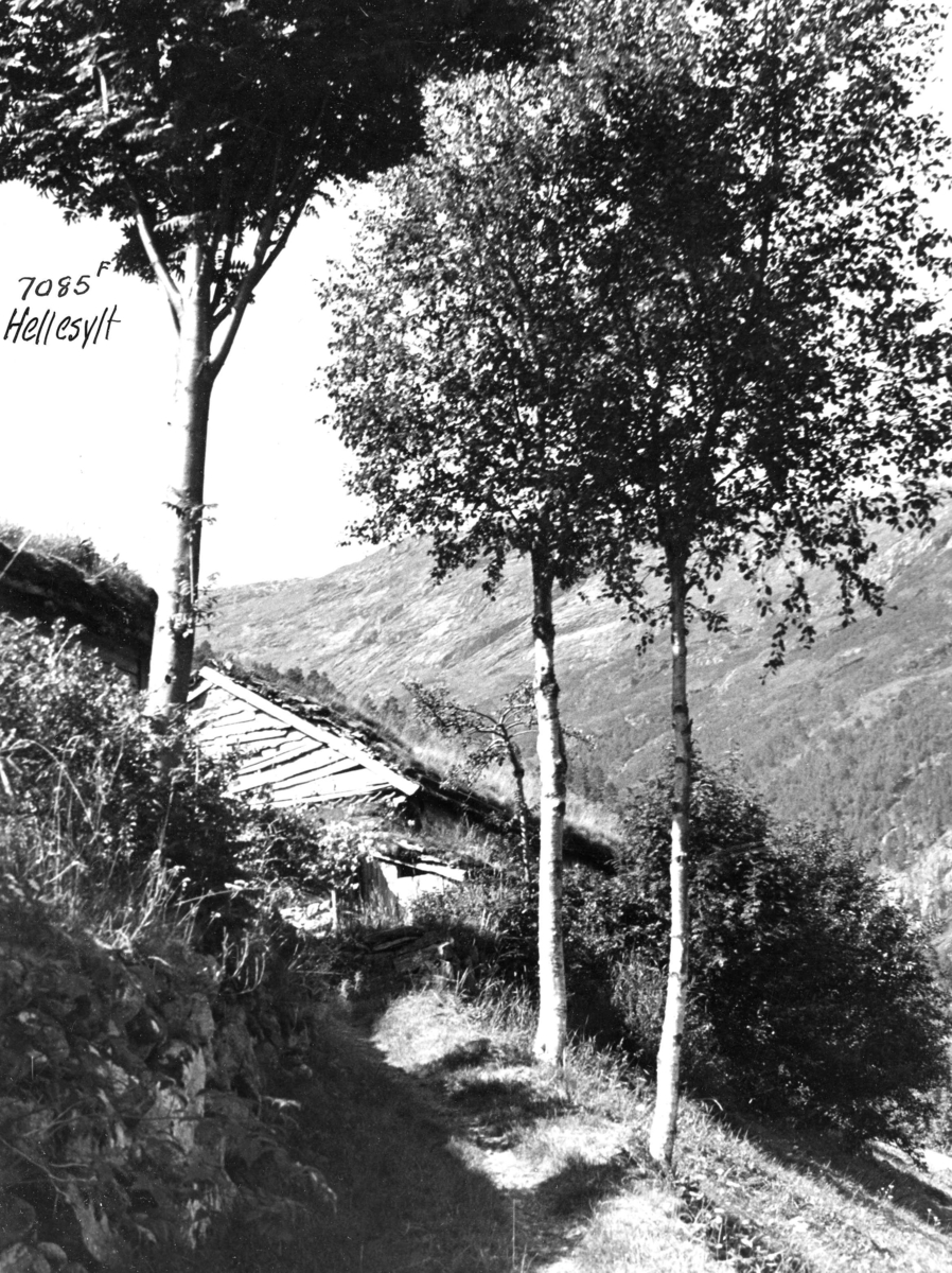 Anders Beer Wilse, Topografi