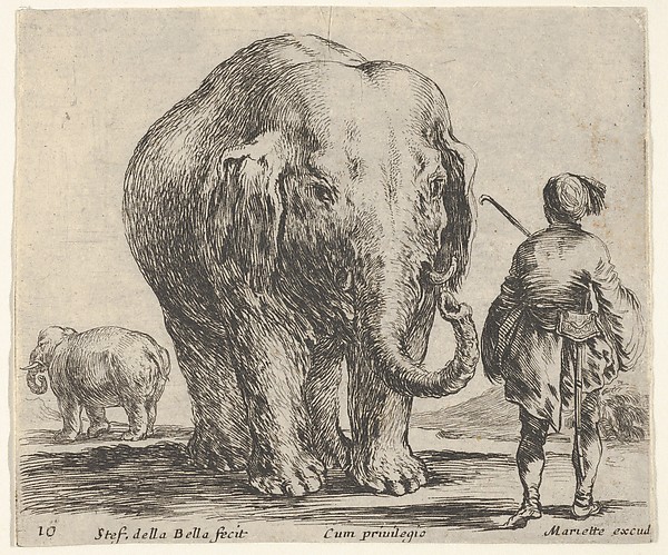 Stefano della Bella, Plate 16: an elephant in center, his mahout standing to the right wearing an Oriental costume, another elephant to left in background, from "Diversi Capricci"