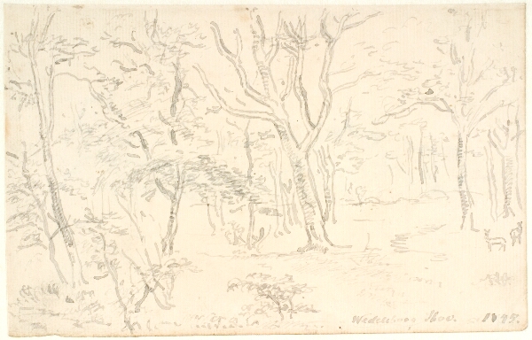 Dankvart Dreyer, Skovinteriør