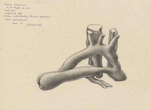 J Tinkelenberg, Ductus arteriosus