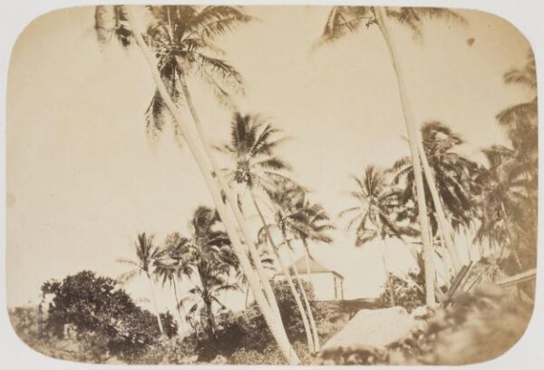Kerr, Henry, Photograph