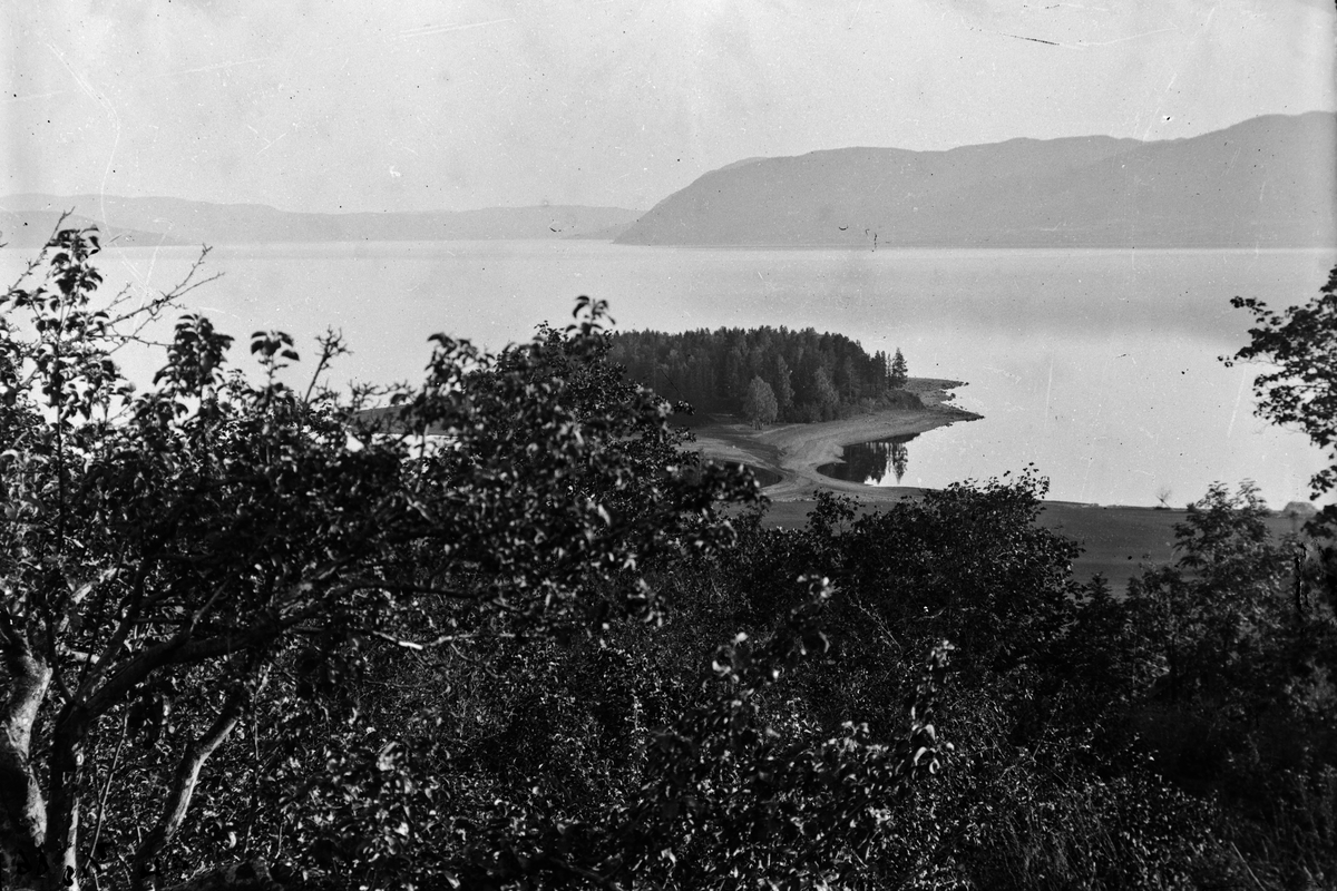 Jacob Tollesen Hoel, Hovinsholm gård, Helgøya i Ringsaker. Hovinsholmen, Mjøsa sett fra huset.