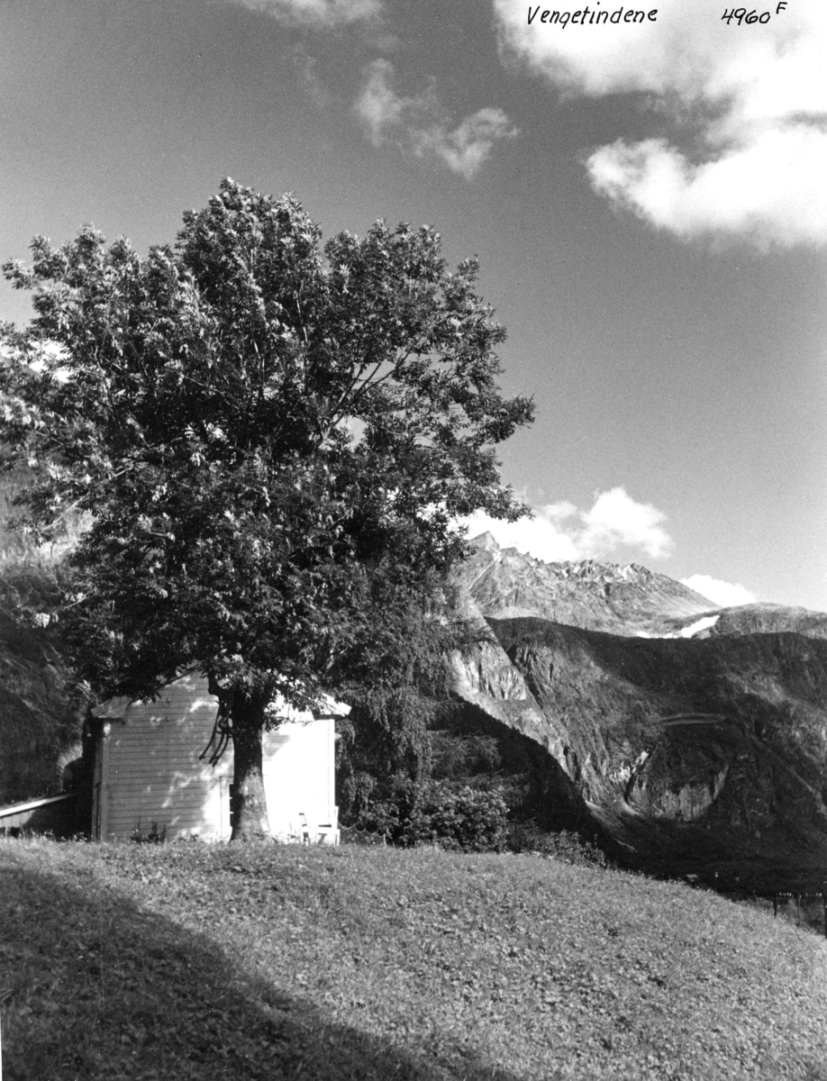 Anders Beer Wilse, Topografi