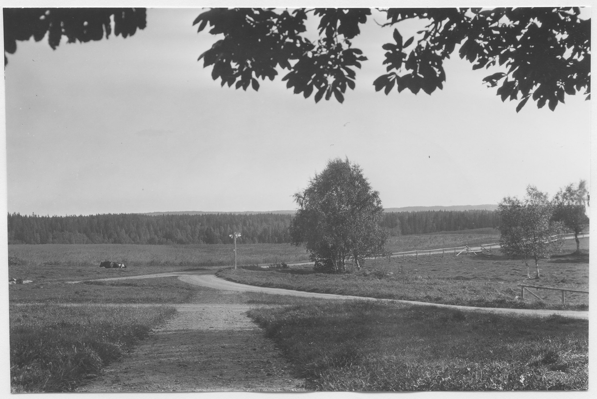 Mårten Sjöbeck, Viresjö säteri
