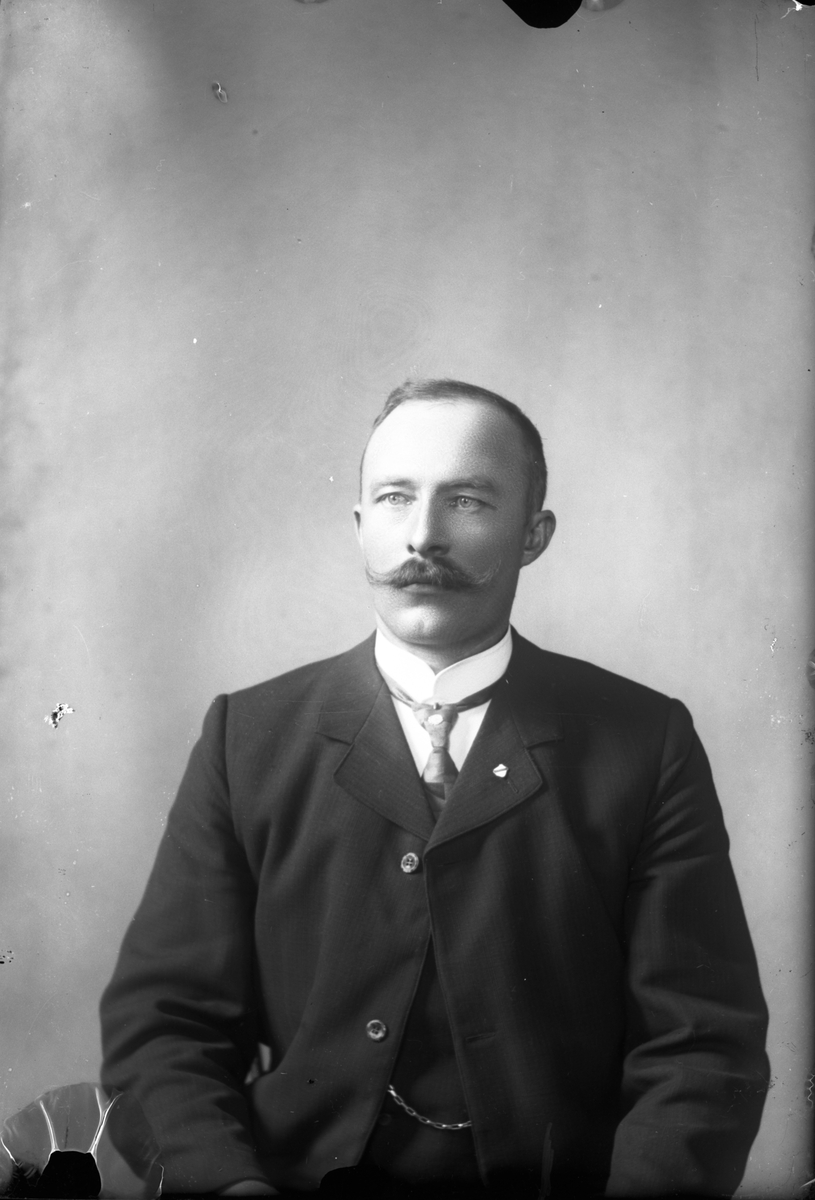 Oscar Holte, Portrett av mann