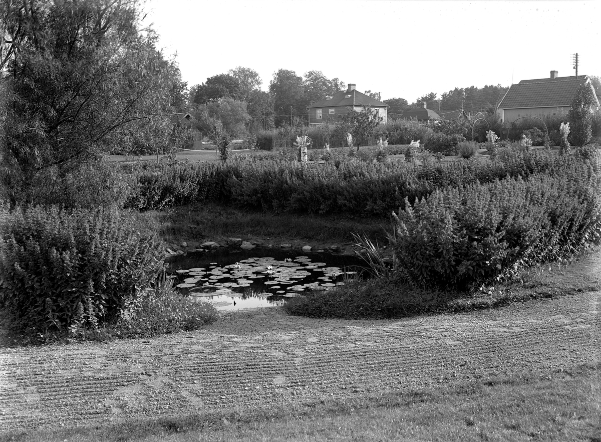 Samuel Lindskog, Two-storey residential building, the garden with a water lily pond. Doctor N.A. Nilsson Brunnstorp, Adolfsberg.