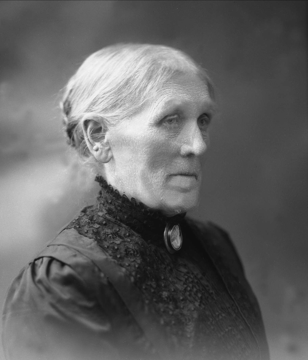 Gustav Borgen, NFB.46331