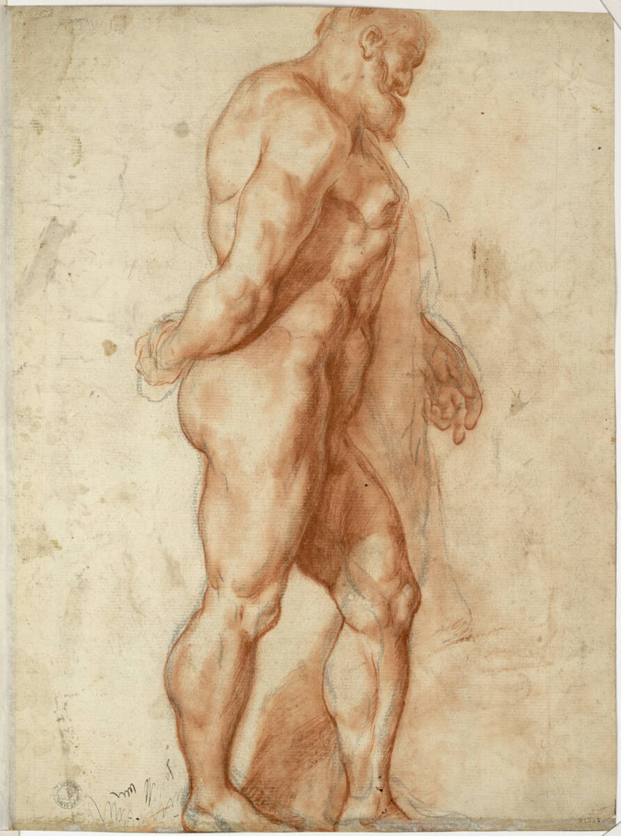 Anonym, Aktstudie des Herkules Farnese
