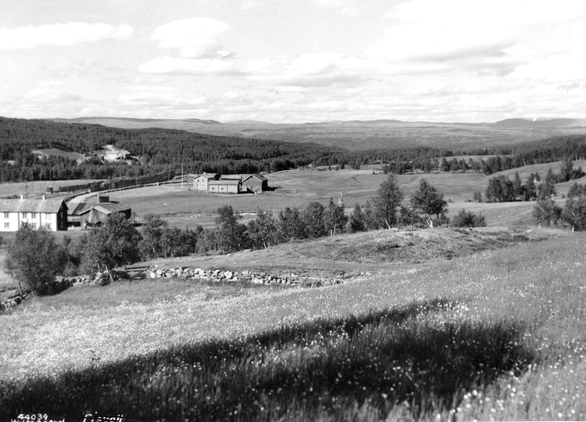 Anders Beer Wilse, Topografi