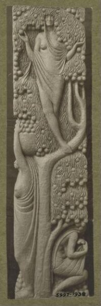 unknown, Photograph