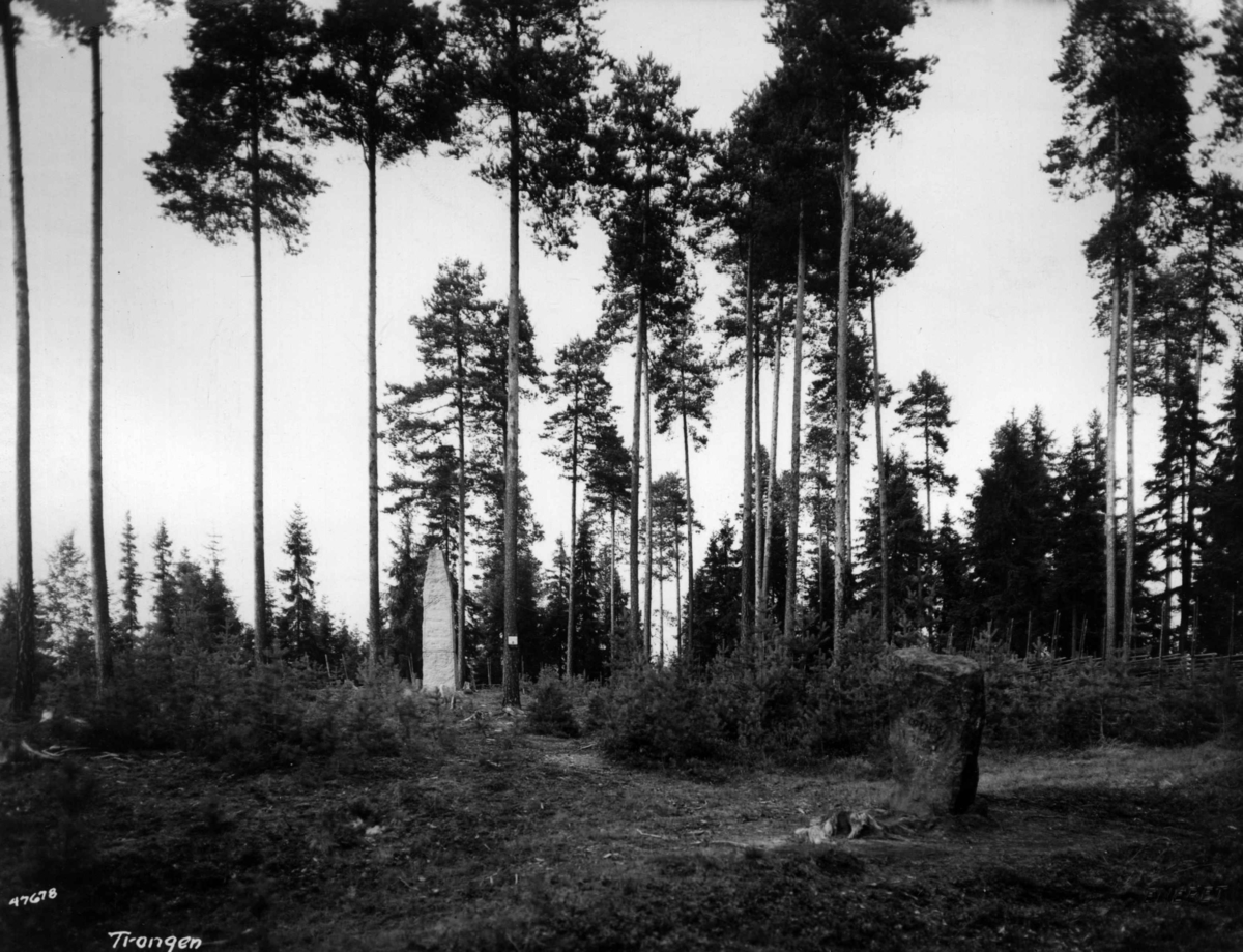 Anders Beer Wilse, Trangen, minnestein over kaptein Dreier.
