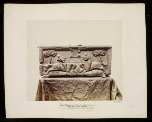 unknown, Photograph