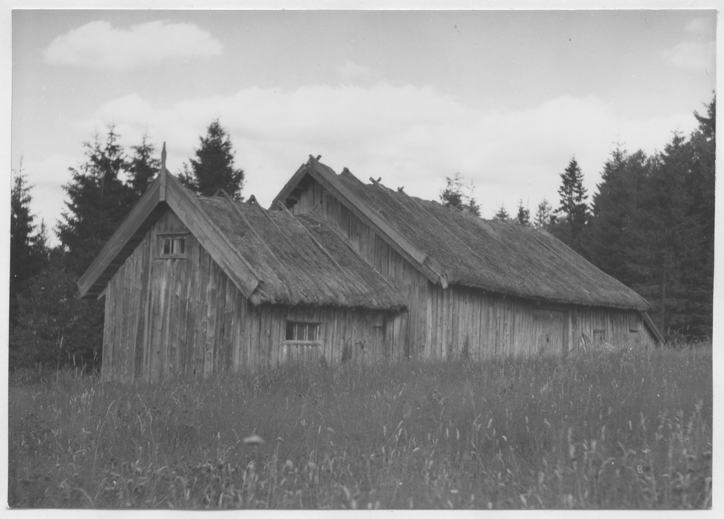 Mårten Sjöbeck, Skogen