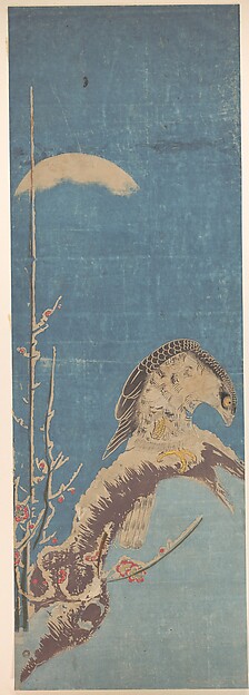 Isoda Koryūsai, A Hawk Perched on a Snow-covered Pine Tree