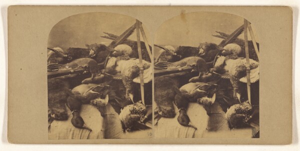 Unknown, [Still life of fowl]