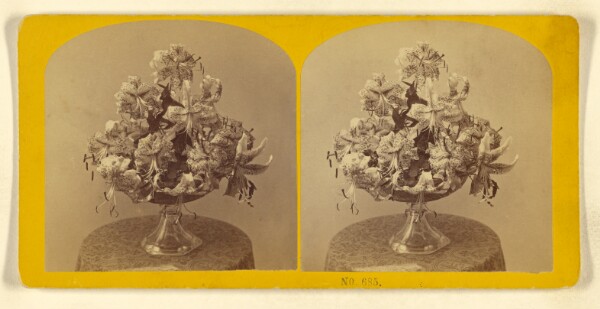 Benjamin West Kilburn, [Vase of flowers on small table]