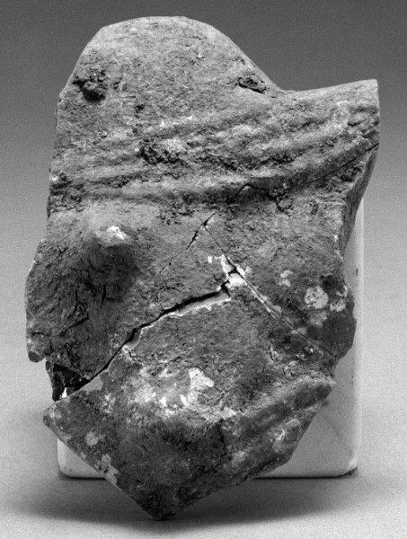Unknown, Fragment of a Female Torso