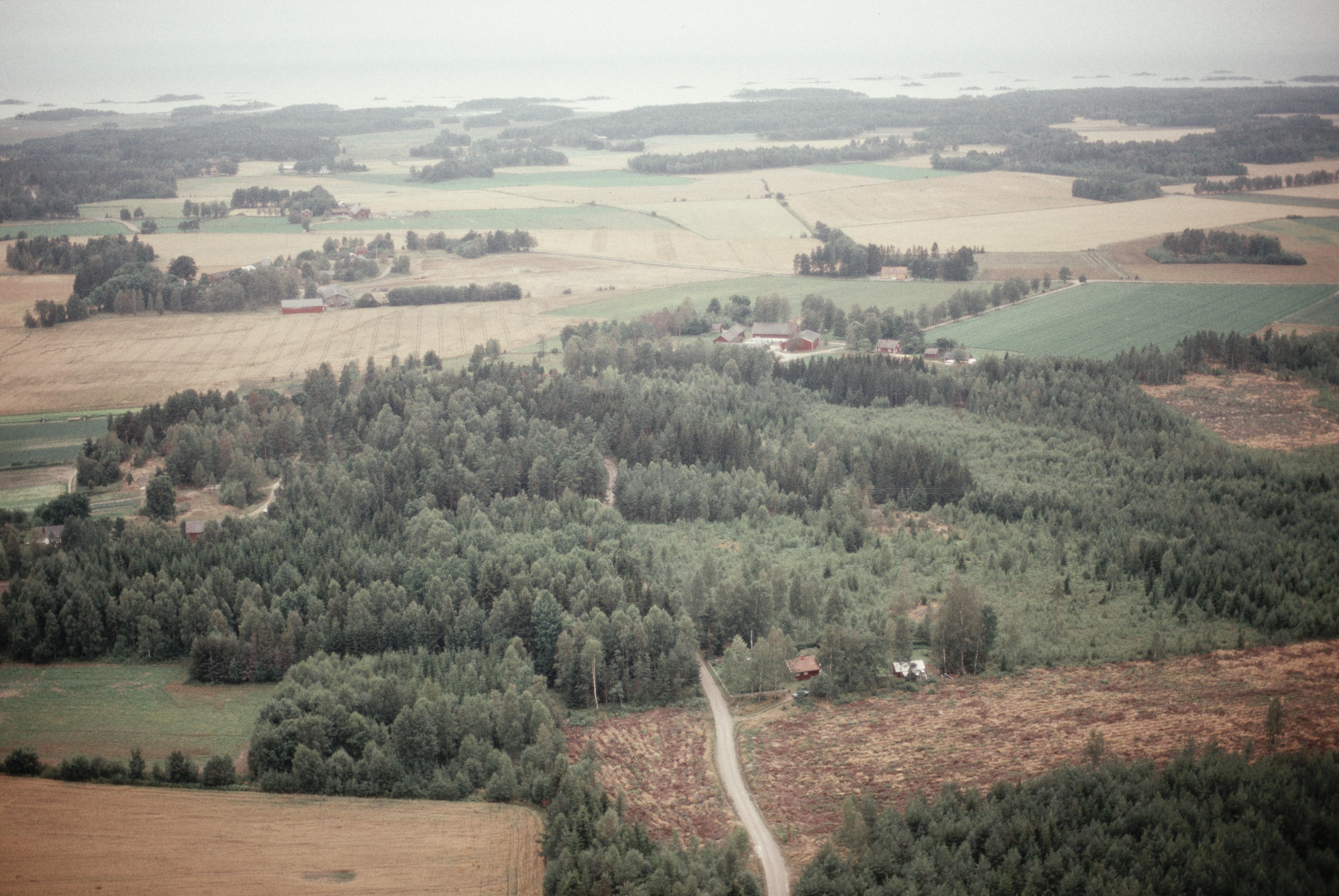 Jan Norrman, Millesvik 39:1