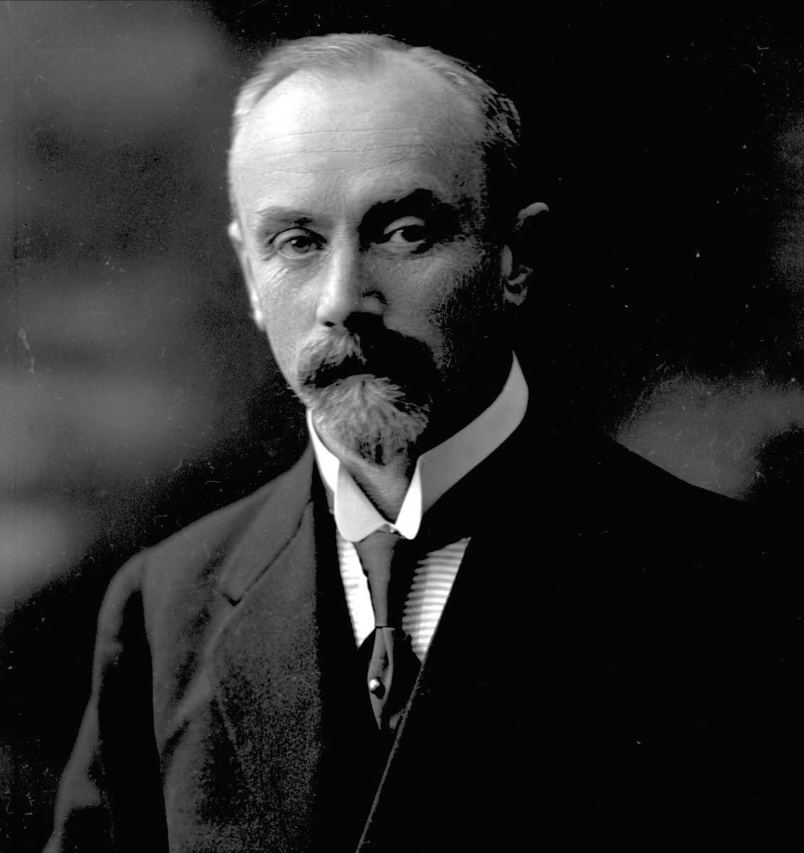 Gustav Borgen, NFB.31333