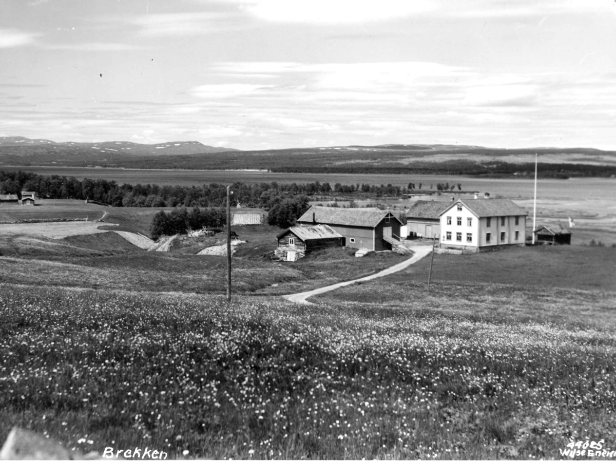 Anders Beer Wilse, Topografi