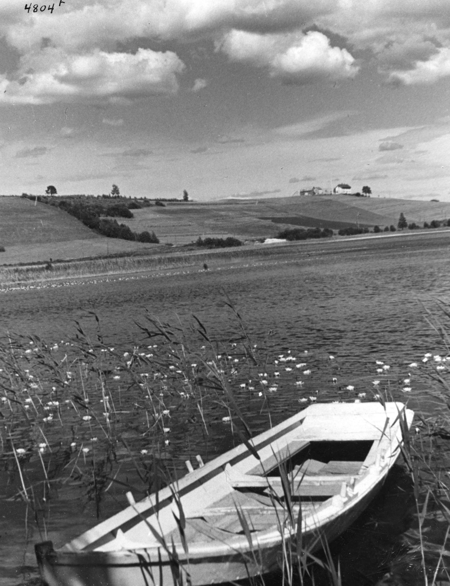 Anders Beer Wilse, Topografi