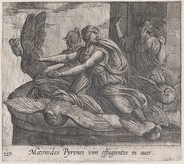 Antonio Tempesta, Plate 127: Anius's Daugthers Changing into Birds (Maeonides Pyrenei vim effugientes in aves), from Ovid's 'Metamorphoses'