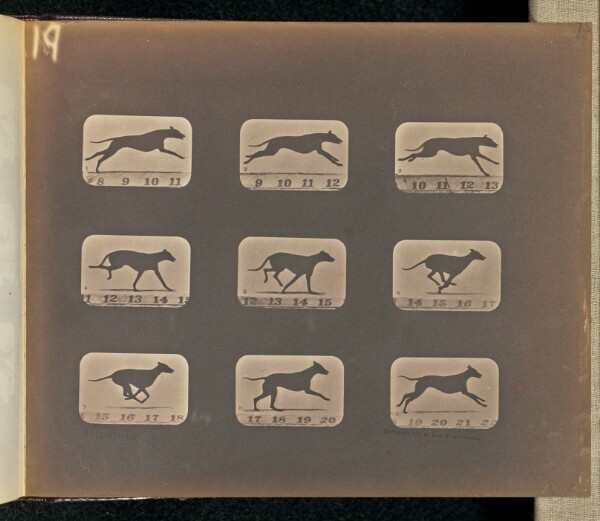 Eadweard J. Muybridge, Running