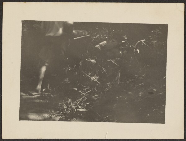 Louis Fleckenstein, [Landscape]