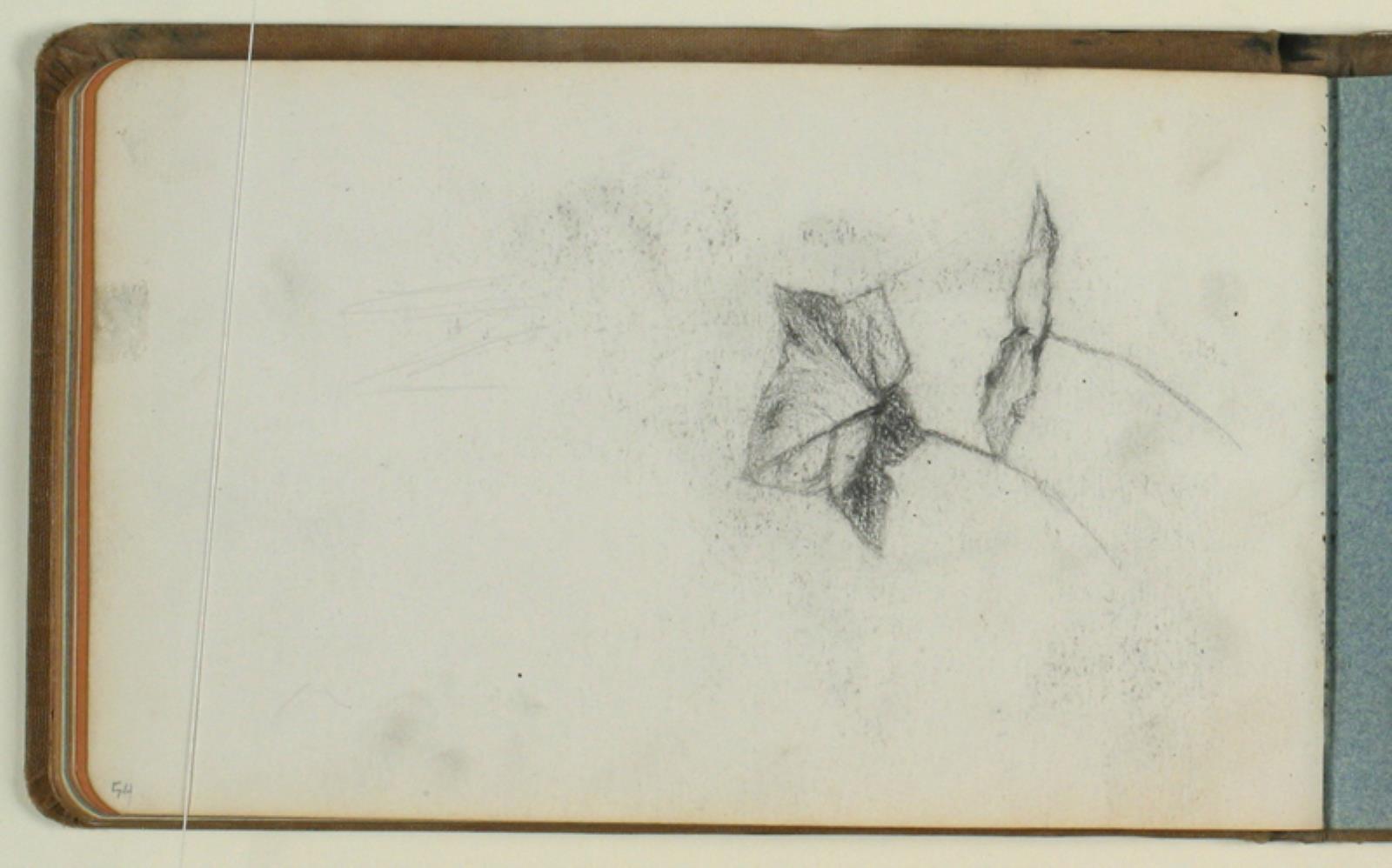 Niels Larsen Stevns, Bladstudier