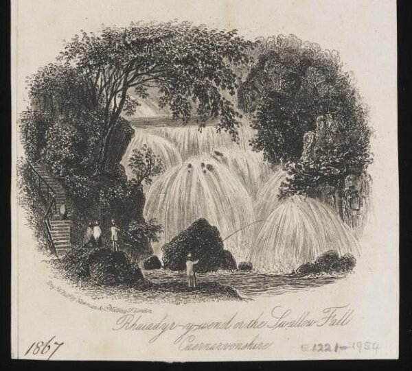 Unknown, Print