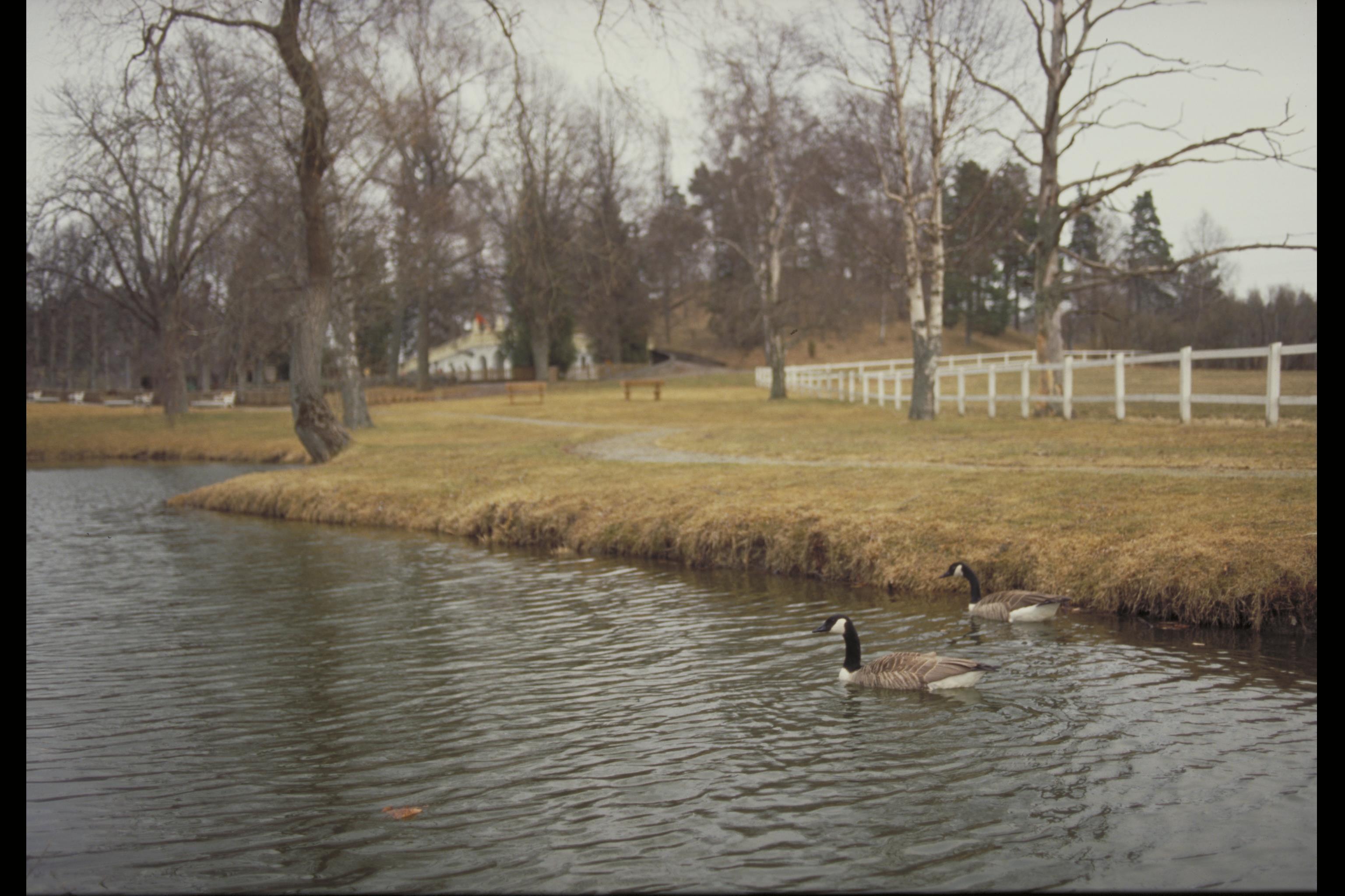 Bengt A Lundberg, Hågelbyparken