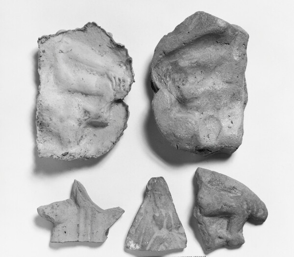 Unknown, Mold Fragment