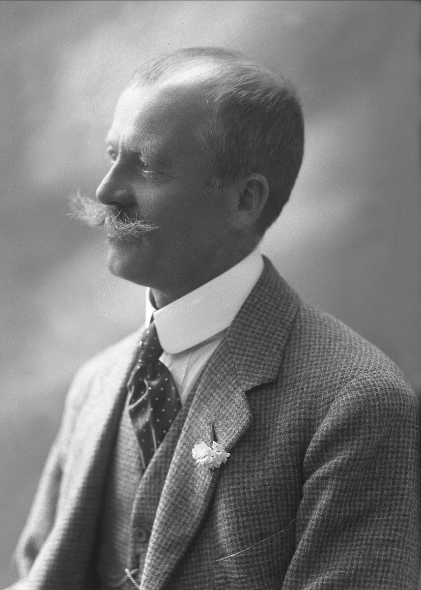 Gustav Borgen, Portrett, grosserer Axel Dammann.