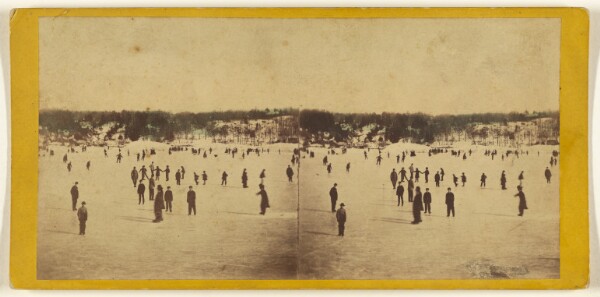 Edward and Henry T. Anthony & Co., Central Park, New York. (Instantaneous.) Skating Scene in Central Park, Winter 1866.