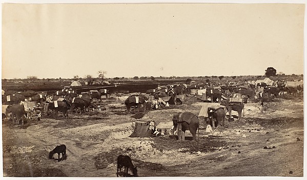 Unknown, [Hatti Kana-The Elephant Camp]