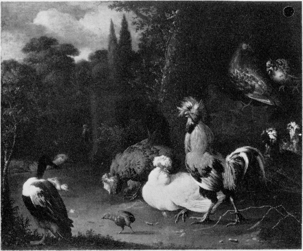 Melchior d'Hondecoeter, Poultry and ducks in a park