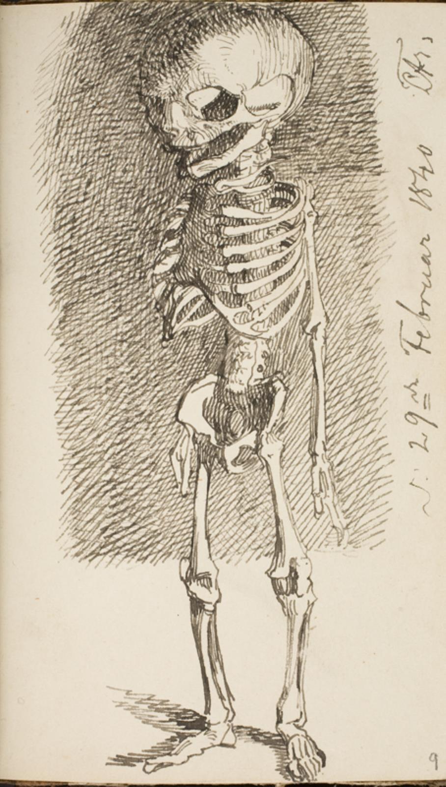 Lorenz Frølich, Skitse af et stående skelet