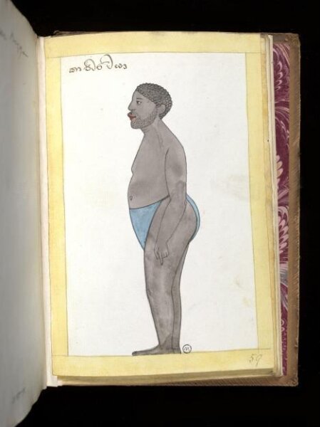 Unknown, One of sixty-three drawings from an Album depicting Sinhalese occupations and castes.