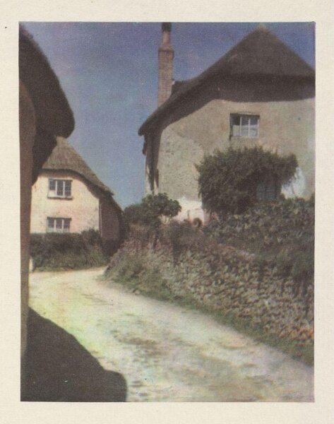Warburg, Agnes Beatrice, Stoke-in-Teignhead