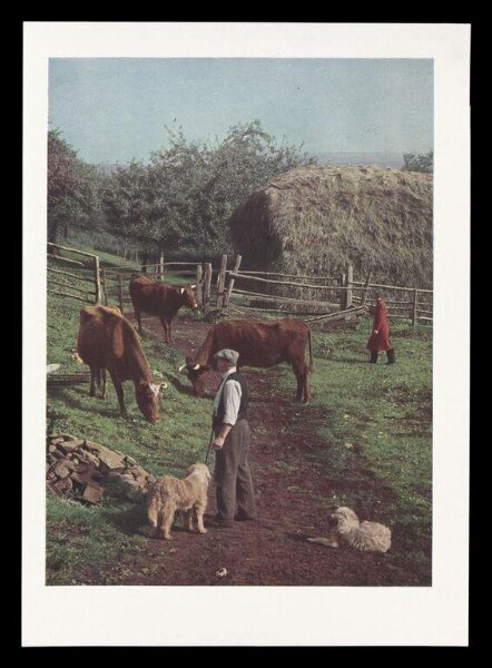 Hinde, John Wilfrid, Mr. and Mrs. Strong at Luccombe Farm