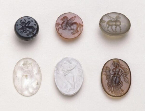 Unknown, Seal