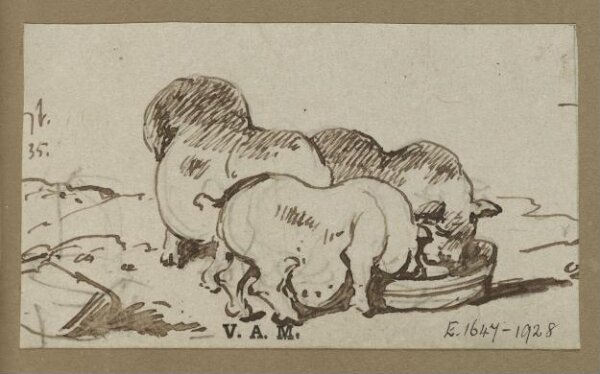 George Chinnery, Three pigs